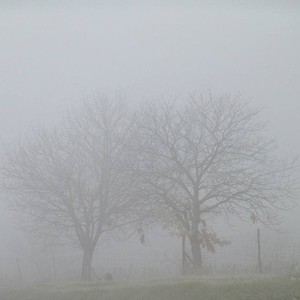 الأردن | ارتفاع نسب الرطوبة الليالي القادمة مع فرص لتشكل الضباب