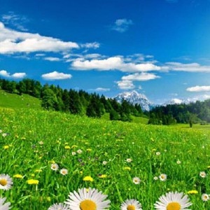 فصل الربيع في ظل كورونا