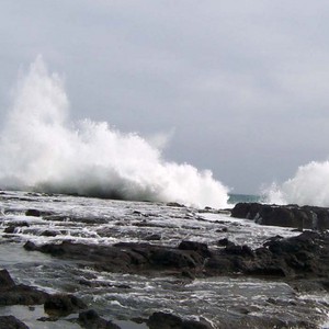 الجزائر | رياح غربية نشطة السرعة وبحر عالي الموج على طول الشريط الساحلي