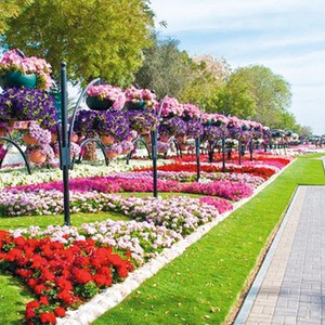 الإمارات | طقس حار ومستقر الأحد والإثنين وفرص للضباب فجر وصباح الأحد