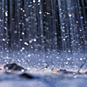 سلطنة عُمان | عبري في الصدراة .. تفاصيل كميات الأمطار الهاطلة على سلطنة عمان خلال الـ 24 ساعة الماضية