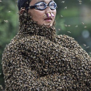 مسابقة ارتداء النحل في الصين