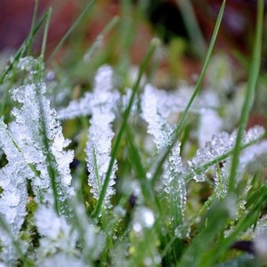 الأردن | تسجيل درجات حرارة صغرى من عمق الشتاء اقتربت من الصفر المئوي في القمم الجنوبية