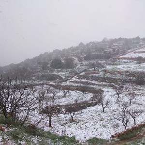 الأردن | حالة الطرق في المملكة حتى الساعة 9:30 صباحًا