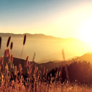 مجدداً .. عودة الأجواء الحارة نسبياً خلال عطلة نهاية الأسبوع