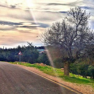 المملكة في انتظار أسبوع ربيعي دافئ والحرارة تتجاوز معدلاتها