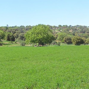 طقس الثلاثاء: أجواء لطيفة منتظرة