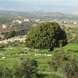 الخميس: برودة الجبال مُستمرة