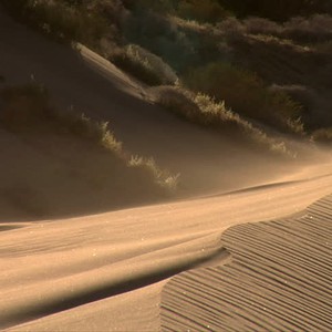 رياح شمالية  نشطة على غرب الإمارات مطلع الأسبوع الجديد