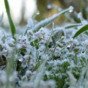 الليلة وصباح غد السبت... صقيع متوقع في أجزاء مختلفة من المملكة