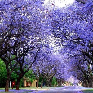 السعودية | تعرف على المناطق المشمولة بتوقعات الأمطار خلال عُطلة نهاية الأسبوع