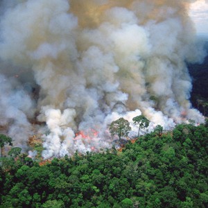 الأردن | الدفاع المدني يتعامل مع حريق اندلع بغابات حرجية بعجلون
