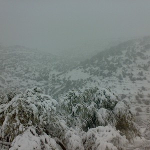 مع ساعات مُنتصف هذه الليلة: الجنوب على موعد مع ثلوج مُنتظرة