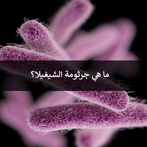 Qu&#39;est-ce que le germe de Shigella... et comment le traiter et l&#39;éviter ?