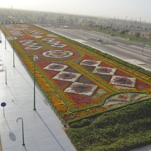 ينبع تدخل "جينيس" بأكبر سجادة زهور في العالم