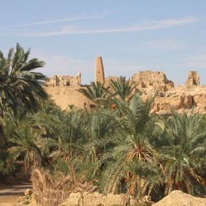 سيوة .. الواحات الساحرة والمعالم التاريخية الآسرة