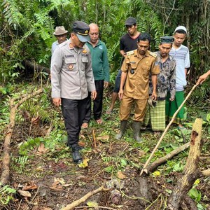 حدث في اندونيسيا .. أفعى تقتل امرأة وتبتلع جثتها بالكامل