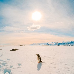 تأثير الثلج على الأرض والمناخ