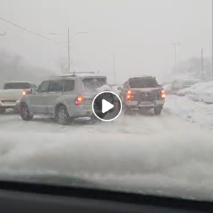 بث مُباشر | طرق مغلقة وعشرات مركبات عالقة في العديد من المناطق في محافظة عجلون - شاهد كثافة التساقط الثلجي