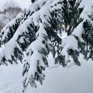 ما هي العوامل التي تؤثر على فرصة تساقط الثلوج على المملكة