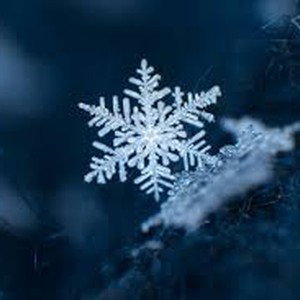 البلورات الثلجية (Snowflakes) وأشكالها المذهلة