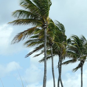 الامن العام : مناطق المملكة تشهد هبوب رياح شديدة ، نهيب بالجميع تثبيت الاجسام المتطايرة سواء على المباني او مركبات الشحن