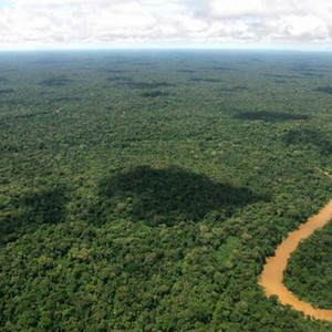 زيادة انبعاث ثاني أكسيد الكربون يزيد من اخضرار الأرض