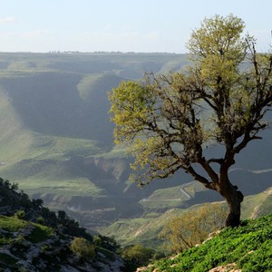 بقاء الأجواء حارة نسبيًا خلال نهاية الأسبوع