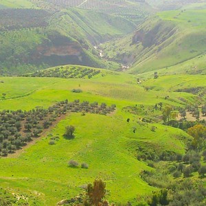 فلسطين : ارتفاع كبير على درجات الحرارة اعتباراً من الاثنين وحتى الأربعاء