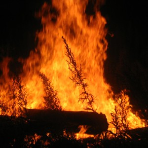 حريق غابات يلتهم 4 قرى بجنوب السودان ويودي بحياة 33 شخصا