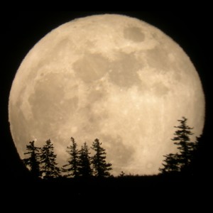 السعودية: قمر شوال الأكبر خلال العام