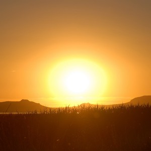 السعودية: الطاقة الشمسية توفر 40% من استهلاك الكهرباء في المملكة