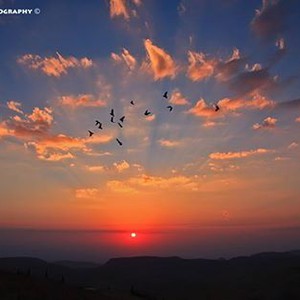 الرطوبة الليلية مُستمرة خلال ليالي الأسبوع الحالي