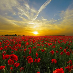 الأردن | حالة الطقس ودرجات الحرارة العظمى والصغرى المتوقعة يوم الخميس 21-3-2019