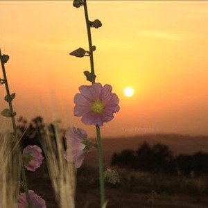 إنخفاض طفيف الأحد .. وأجواء صيفية الثلاثاء والأربعاء!