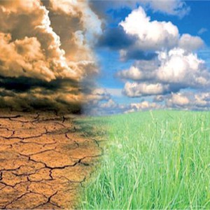 العالم العربي يحتفل باليوم العربي للأرصاد تحت شعار "معاً نواجه الطقس المتطرف"