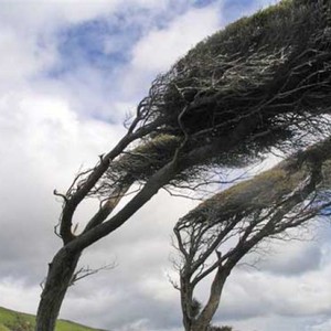 الرياح تتسبب بانقطاع التيار الكهربائي عن الحسا