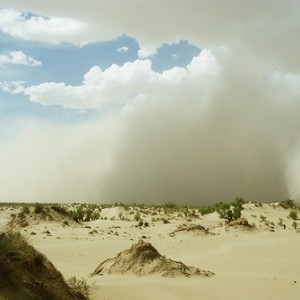 الثلاثاء.. رياح شرقية نشطة وغبار محتمل على غرب المملكة صباحًا