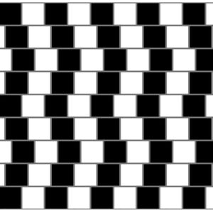 ألغاز وخُدع بصرية ستفقدك عقلك!