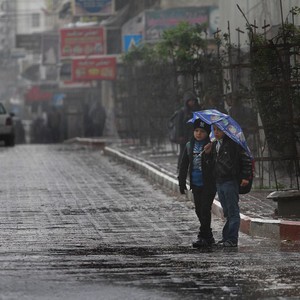 النشرة الشهرية لشهر شباط 2016م في فلسطين