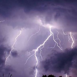 الهند | 32 وفاة بصواعق رعدية... ونفوق 141 حيوان بري بسبب الفيضانات