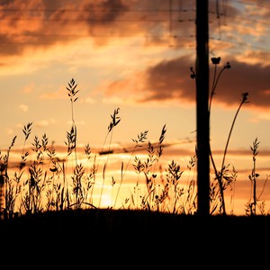 السبت | ارتفاع قليل على درجات الحرارة... طقس صيفي اعتيادي إلى حار نسبياً نهاراً