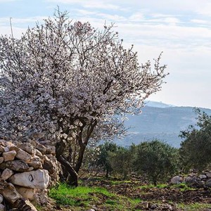 مُجدداً: الحرارة العشرينية تزور المملكة مع نهاية الأسبوع الحالي