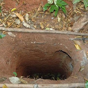 وفاة رجل الغابة الأكثر وحدة في العالم (رجل الحفرة)