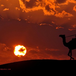 الكويت | مؤشرات على ارتفاع كبير على الحرارة نهاية الأسبوع