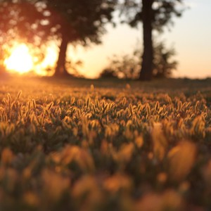 الأردن | كيف سيكون الطقس خلال عطلة نهاية الأسبوع 