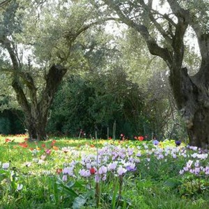 عطلة نهاية الأسبوع: أجواء ربيعية مُناسبة للنشاطات الخارجية والرحلات