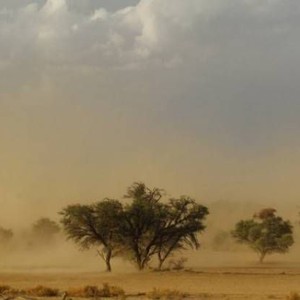 السعودية | تنبيه من نشاط رياح الصبا المثيرة للأتربة والغبار في أجزاء واسعة من غرب المملكة خلال الأيام القادمة