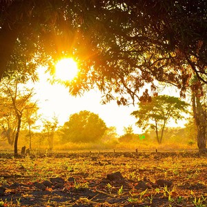 Qatar and Bahrain | Continuing weakness in the marking season and recurring chances of fog formation