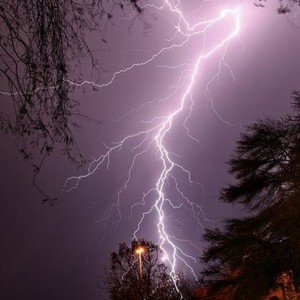 المسند: غامرة حالة مميز بالبروق والبرديات 